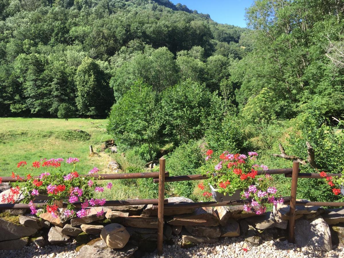 Chambres D'Hotes Le Lepadou-Bas Saint-Chély-dʼAubrac Kültér fotó