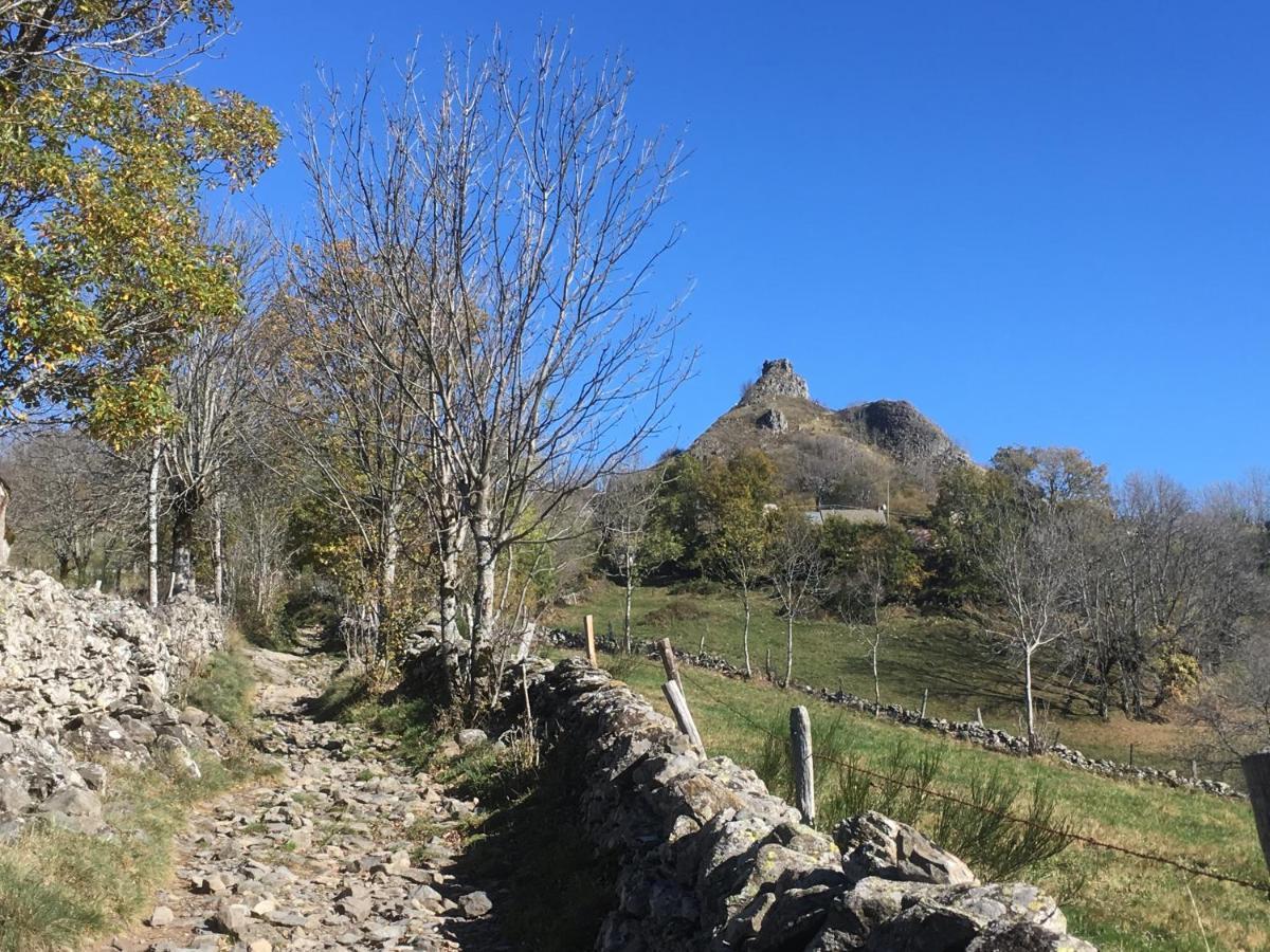 Chambres D'Hotes Le Lepadou-Bas Saint-Chély-dʼAubrac Kültér fotó