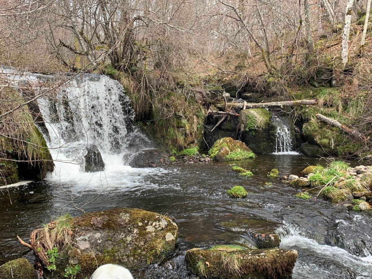 Chambres D'Hotes Le Lepadou-Bas Saint-Chély-dʼAubrac Kültér fotó