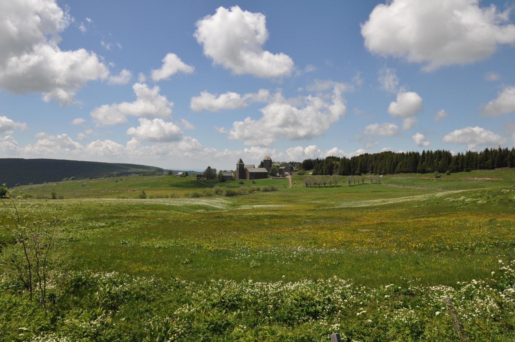 Chambres D'Hotes Le Lepadou-Bas Saint-Chély-dʼAubrac Kültér fotó